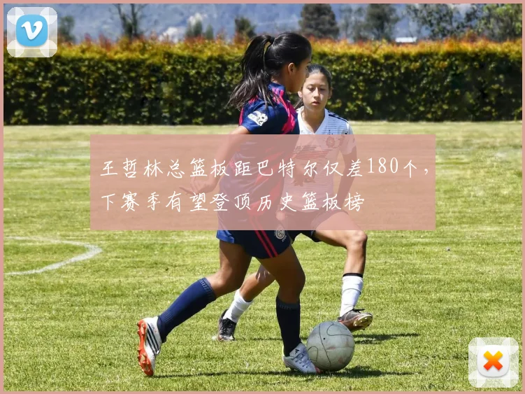 王哲林总篮板距巴特尔仅差180个,下赛季有望登顶历史篮板榜