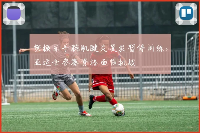 樊振东手腕肌腱炎复发暂停训练,亚运会参赛资格面临挑战
